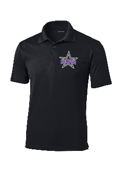 Mendive Unisex/Male Fit Polyester Polo