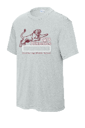 COLD SPRINGS PE SHIRT