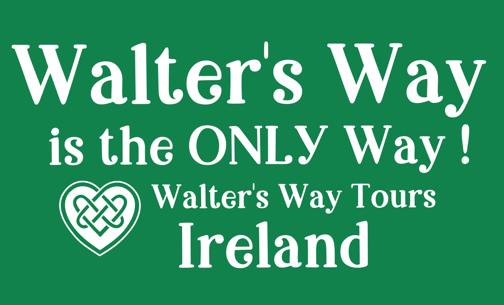 Walter T-Shirt FOREST GREEN
